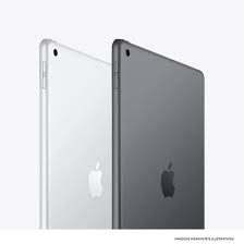 Apple iPad 9ª Geração 256GB Tela Retina 10.2 / Wi-Fi / Lacrado - Global